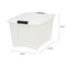 IRIS USA Plastic Storage Bins with Lids and Secure Latching Buckles